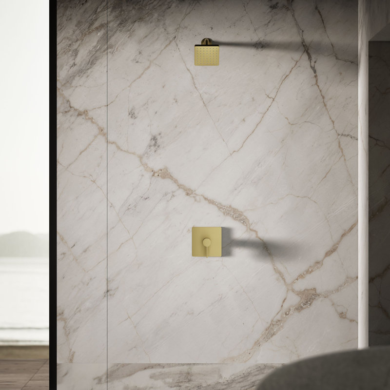 Parallel Single-Function Showerhead, 1.25 Gpm, Brushed Brass