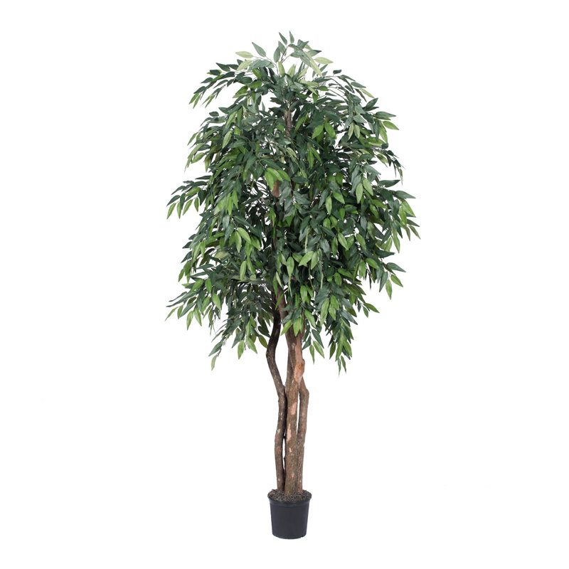 Arbre 72 po Smilax, H 72 po x l 38 po x P 34 po