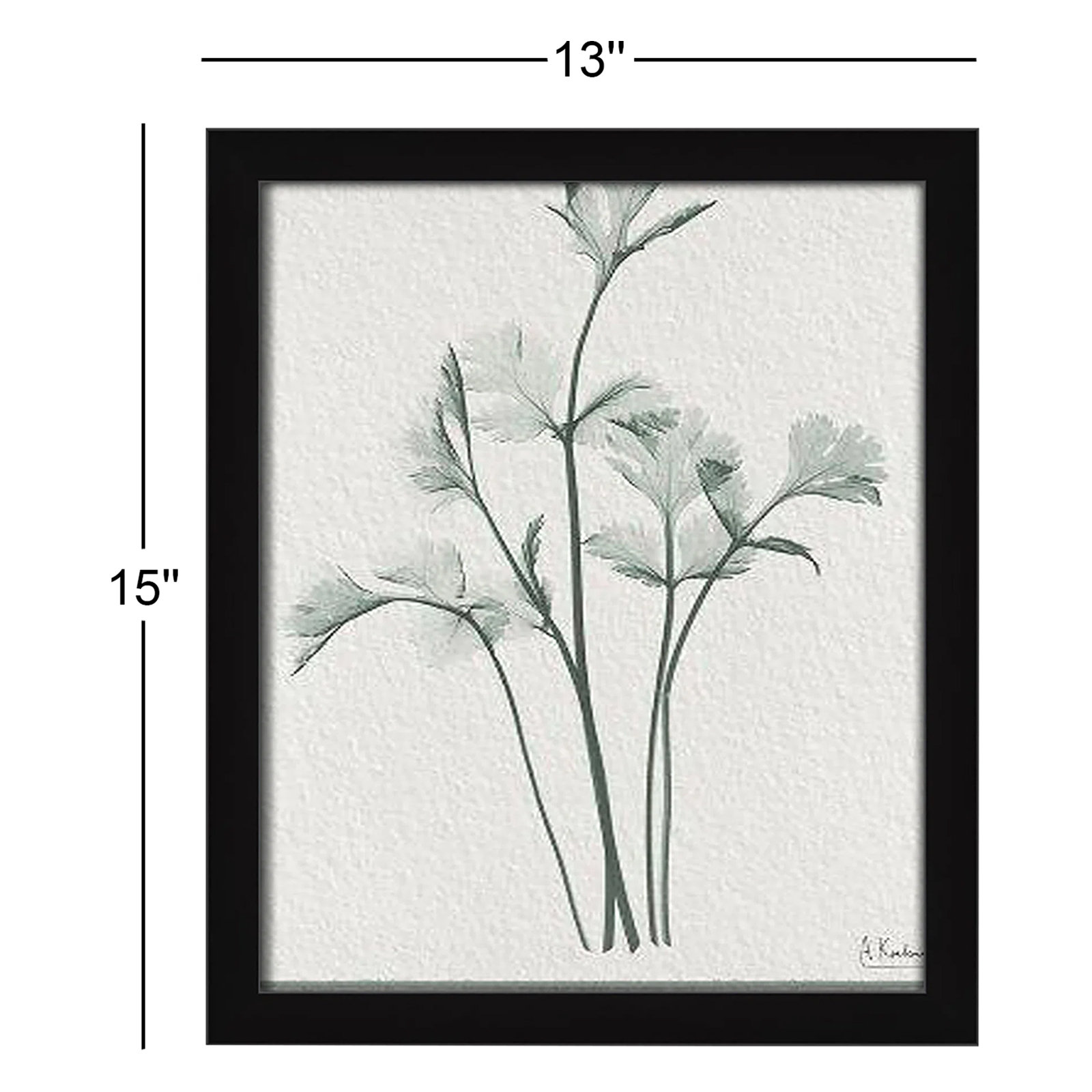 Jeanette "Parsley II" Print by Albert Koetsier, Satin Black Framed Paper, 15" H x 13" W x 1.25" D