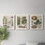 Exotic Botanique I - Ensemble de 3 peintures sur toile encadrées-595385050-595385051
