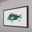 «Sheepshead in Green and Black», reproduction d'art encadrée-20585084