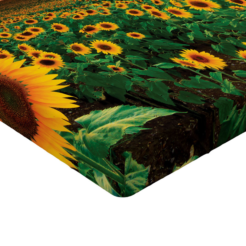 Ensemble de 2 draps-housses Ambesonne, Multicolore / floral 27, Drap-housse très grand californien