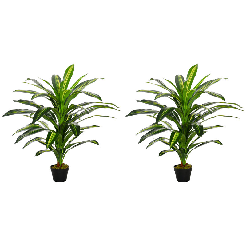 110cm Faux Dracaena Plant in Cement Pot
