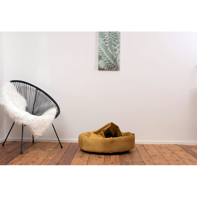 Polyester Pet Bed, Mustard, Medium (90cm W x 90cm D x 19cm H)