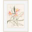 Alstroemeria 1 Print by Claudia Lowry-638423716