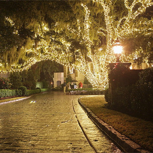Beklabito 100 - Bulb 56 in. Solar Powered Wide Angle LED String Lights