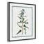 «Shabby Soft Shabby Elegance Botanical I» par Kelly Donovan, reproduction sur toile flottante-73279498-73279508