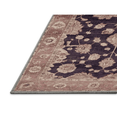 Machine Washable Overdyed Brown Area Rug