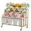 Plant Stand-1022678310