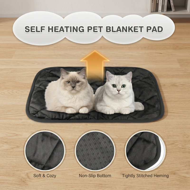 Jouet pour chat électronique intelligent USB rechargeable, lumière à mouvement rapide, 2 queues de plumes, blanc