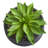 10'' Faux Cactus Plant in Stone Planter
