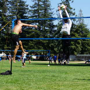 Ensemble de tournoi de volleyball Tournament Flex 1000