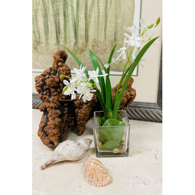 Orchidée Vanda en verre 13 "