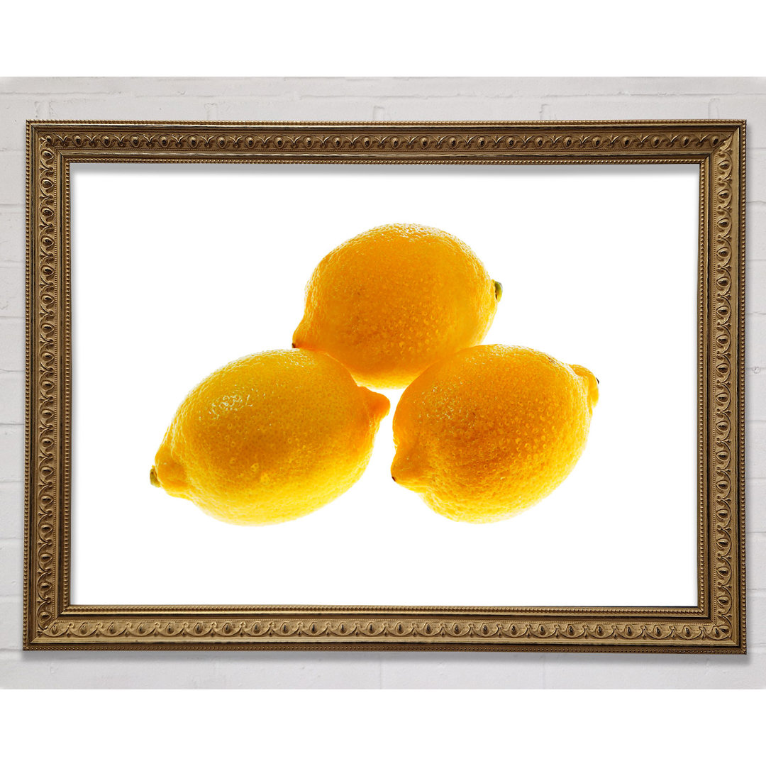 Trio Of Lemons - Drucken