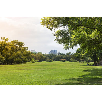 Trees by Hatchapong - Wrapped Canvas Print