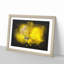 Yellow Butterfly - Framed Print-56842424-56842425