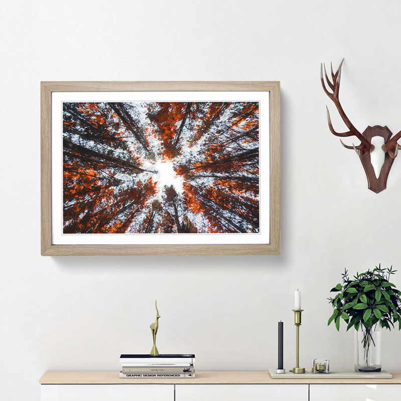 Autumn Forest Reaching Upward in Abstract - Picture Frame Painting Print, 27cm H x 36cm W x 2cm D, Oak Framed