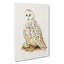 Snowy Owl - Wrapped Canvas-55341334