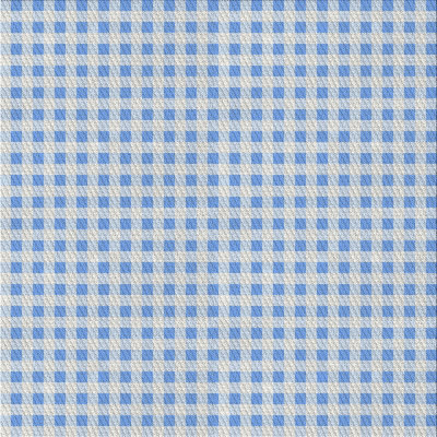 Gingham Indoor Rug