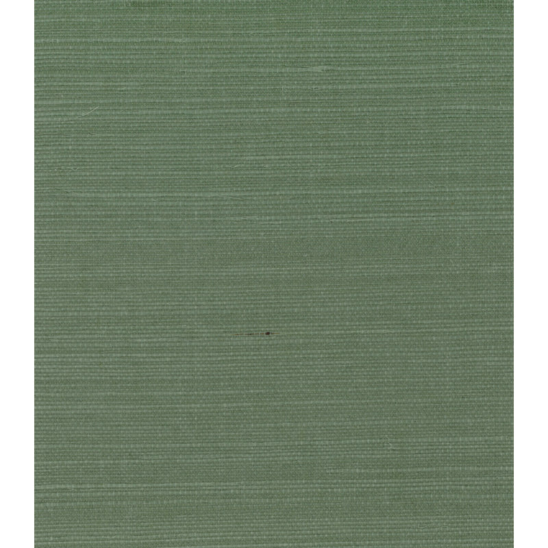 Papier peint en sisal vert gastrique Seabrook Designs, Vert Lichen