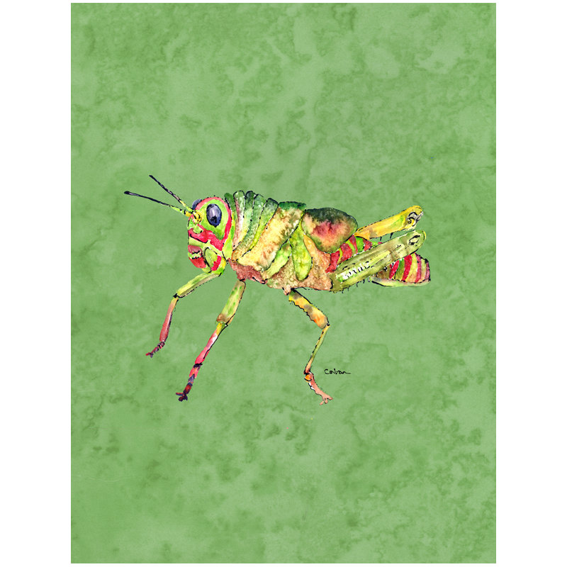 Polyester à 2 côtés 40 x 28 po drapeau maison Grasshopper