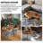 Christella Solid Wood Top