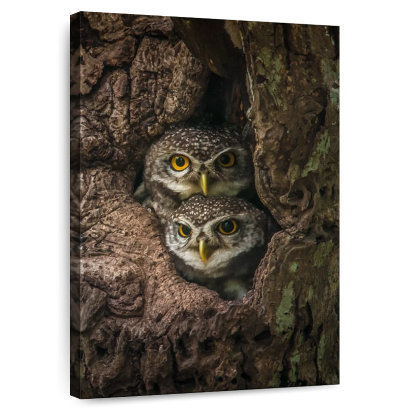 Brampt Owl Twins, 12" H x 8" W