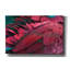 «Feather» par PhotoINC Studio-766199956