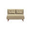 Varujhan 2 Seater Sofa Bed-1464465514-1464465506-1407565412