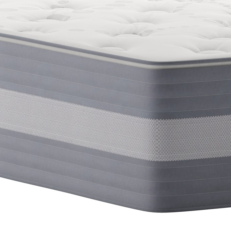 Wayfair Sleep 12 Inch Pocket Spring and Foam Hybrid Mattress, Twin, Light Gray