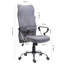 Mantorville Executive Chair-41743047