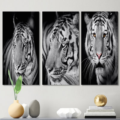 Portrait monochrome d'un tigre blanc VI - ensemble d'art traditionnel de 3 pièces