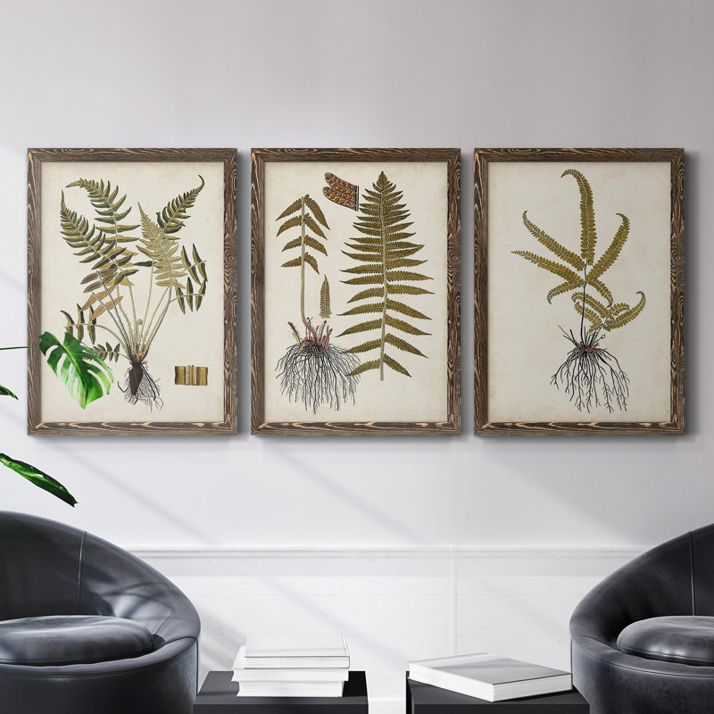 Fern Botanical IV - Ensemble de 3 peintures sur toile encadrées, H 37,5 po x l 82,5 po x P 1,5 po, Noyer