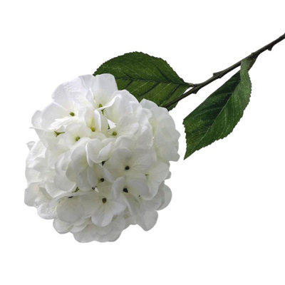 Arrangement