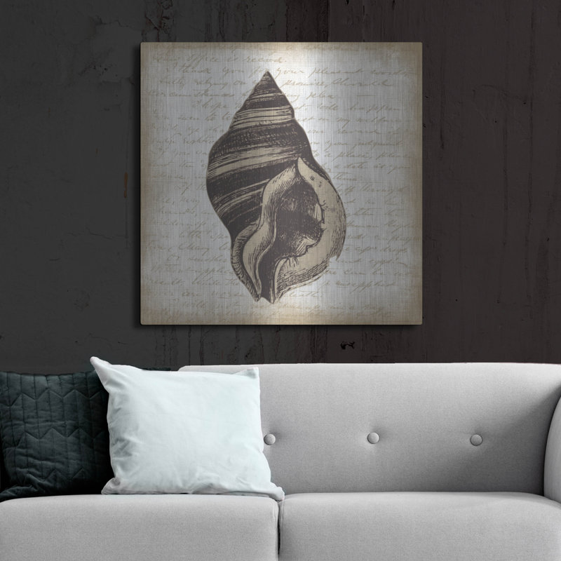 «Shell 2» par Erin Clark, art mural en métal, 36 po x 36 po, H 36 po x l 36 po