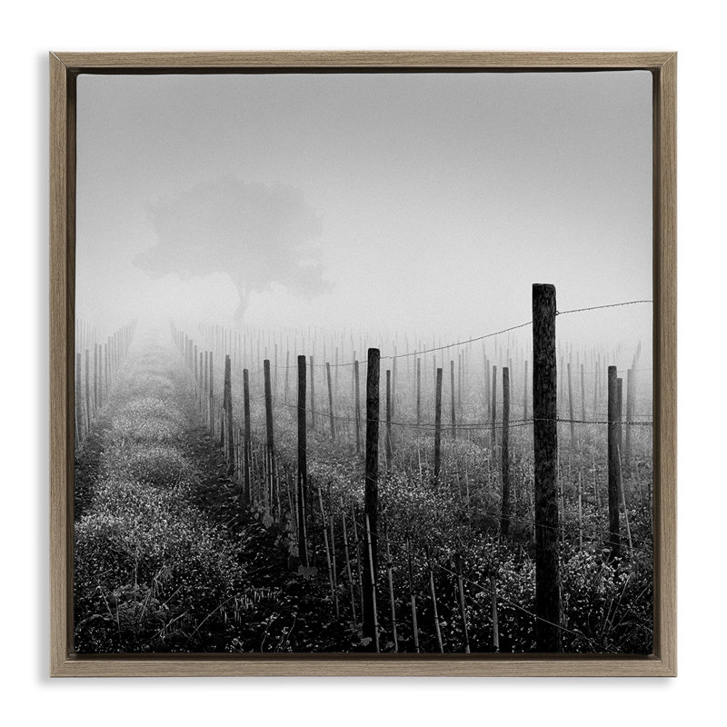 «Vineyard at Dawn» par Chip Forelli, H 25 po x l 25 po, Cadre flottant noir de jais