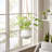  Nonce 4" Ceramic Modern White Hanging Planter With Leather Strap-164315404-164315403