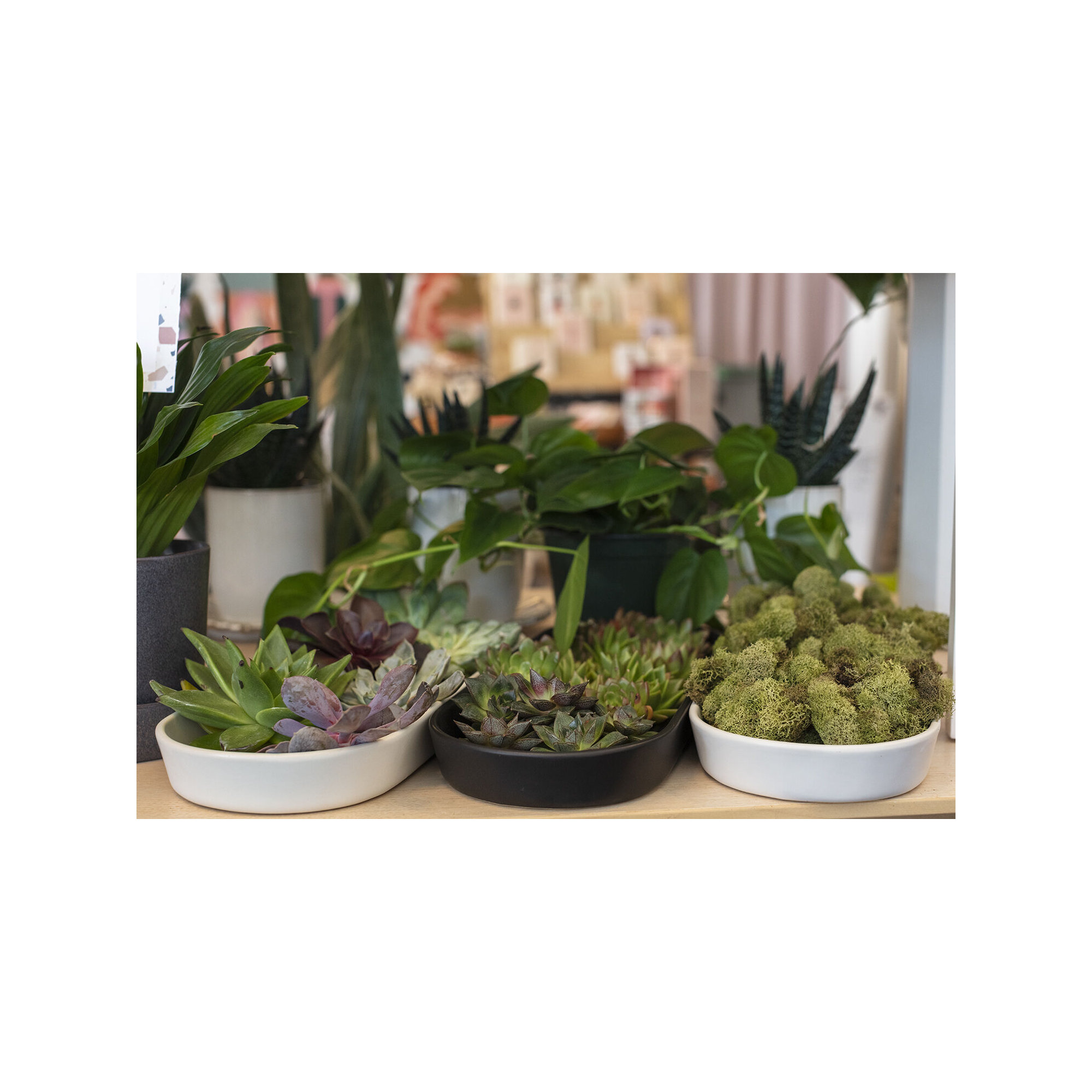 Noha Saucer Plant Stand, White, 1.5" H x 14.75" W x 14.75" D
