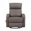 Fauteuil inclinable et oscillant 1Pc