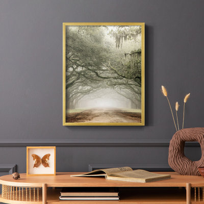 Plantation Drive Framed Print - Solid Wood