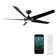 62" Lucid 5 - Blade Outdoor/Indoor Smart Standard Ceiling Fan with Remote Control and LED Light Kit Included, Works With Alexa and iOS or Android App