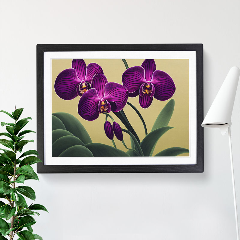 Sacred Orchid Flowers - Single Picture Frame Print, Black Framed, 46cm H x 64cm W x 2cm D