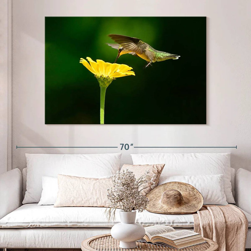 Brampt Hummingbird In Flight, 34" H x 51" W