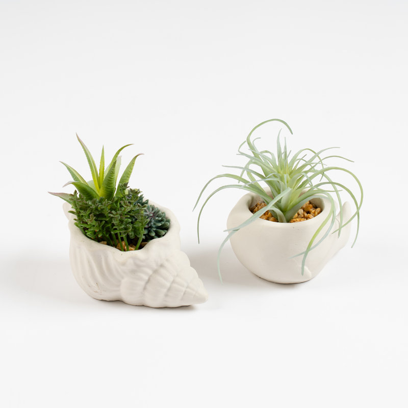 10.5cm Faux Succulents in Cement Pots