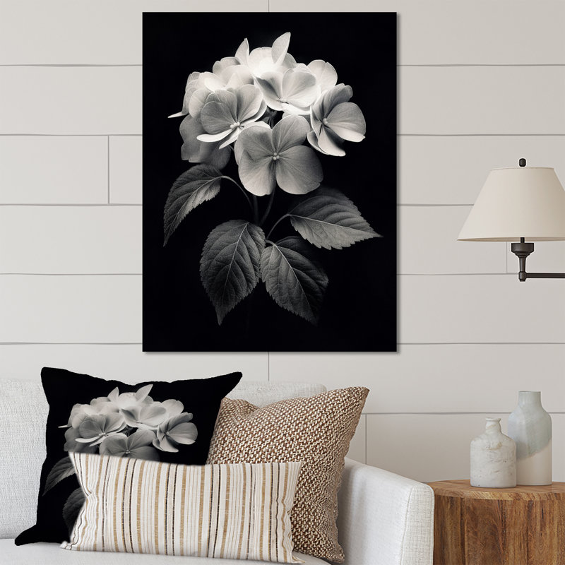 Black White Hydrangea Blooming III, 20" H x 12" W x 1" D