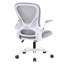 Desk Chair-388895513-388895519