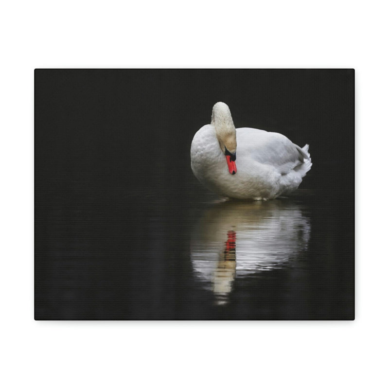 No Frame Print on Canvas, 30.48cm H x 40.64cm W