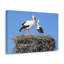 No Frame Print on Canvas-100087313