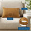 Coussin décoratif en velours lombaire Performance par Modway-57780421-57780422