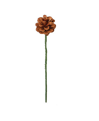 Cône de pin